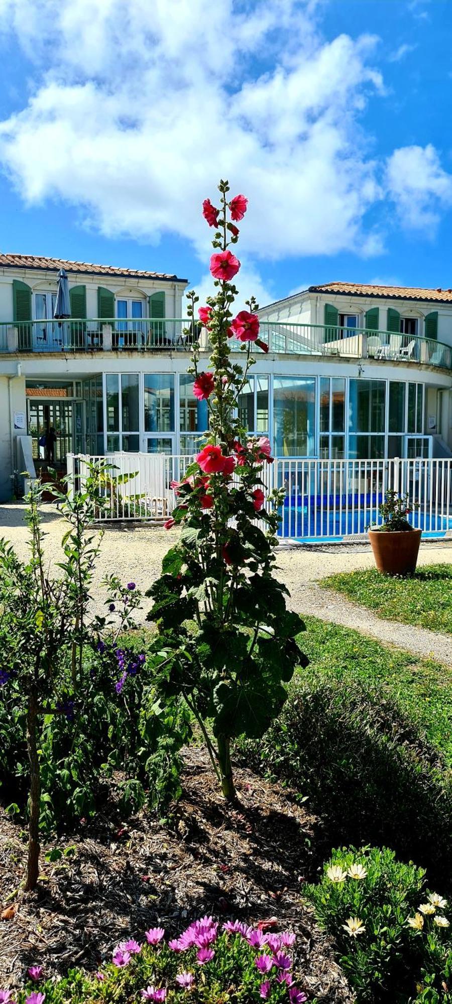 Appartement 91 Palais Des Gouverneurs Saint-Martin-de-Re Luaran gambar